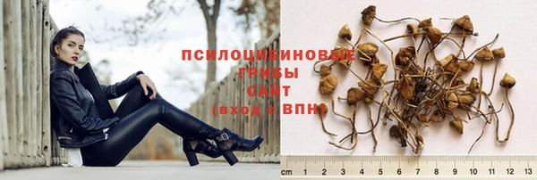 Альфа ПВП Пролетарск