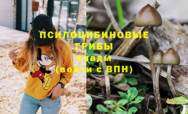 гашик Абаза