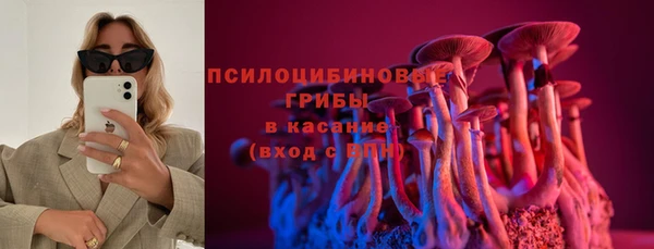 соль ск Алексин