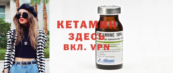 стаф Алзамай