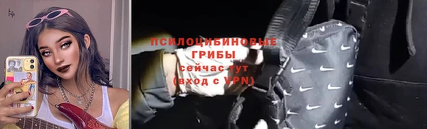 соль ск Алексин