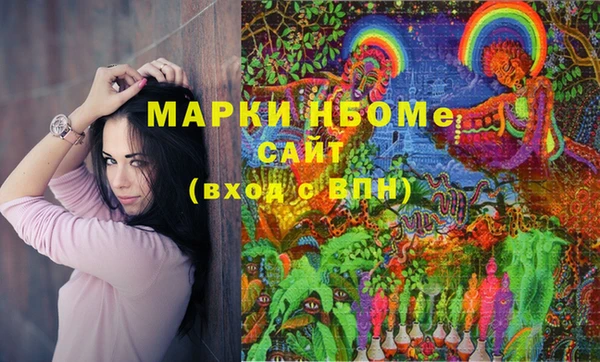 гашик Абаза