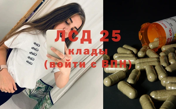 стаф Алзамай