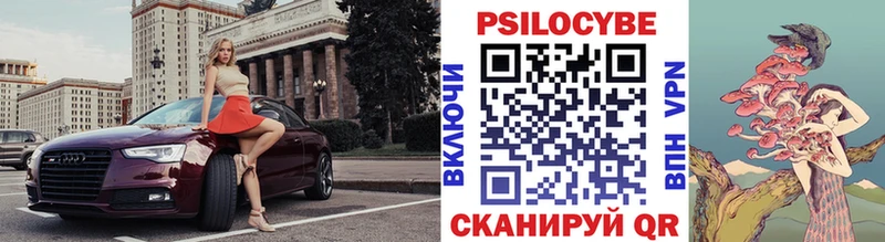 kraken вход  Духовщина  Галлюциногенные грибы Psilocybe 