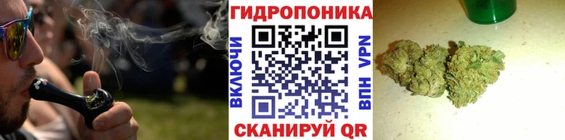 Бошки Шишки сатива  omg ссылка  Духовщина  купить закладку 